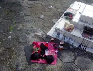 (Foto: Jacinta de Oliveira )