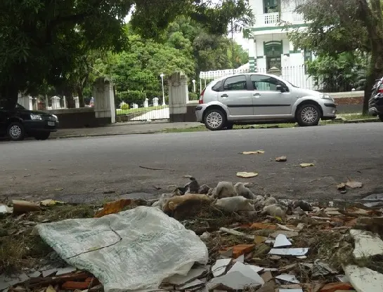 Animais foram encontrados na via que passa ao lado do Parque da Residência, complexo turístico da capital (Foto: G1)