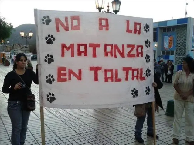 Foto: Maria Tapiac