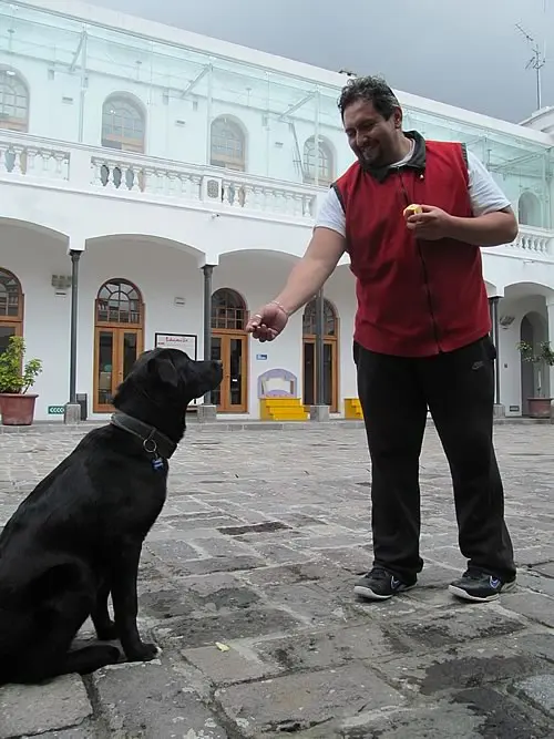 Foto: Fernando Arroyo/ Terranimal Equador