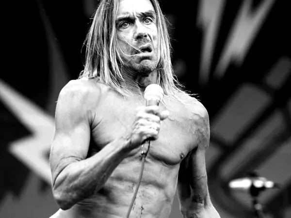 Iggy Pop (Foto: Sapo PT)