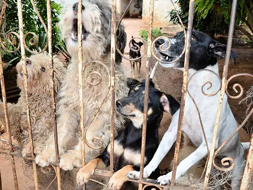 (Foto: Divulgação)