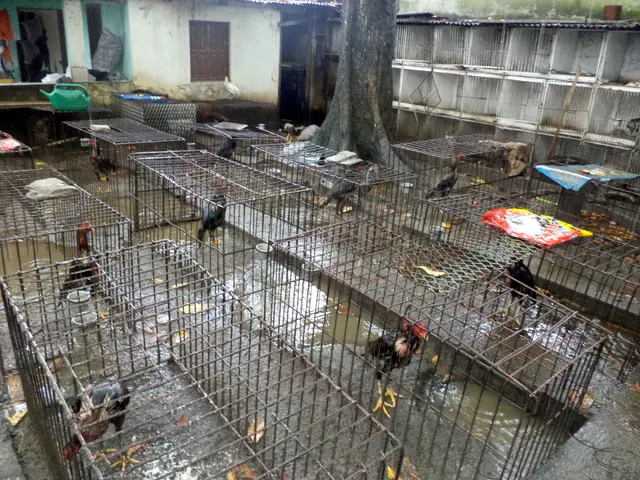 Foto: BPMA Serra