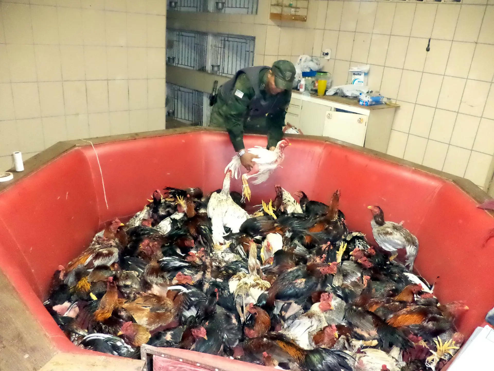 Foto: BPMA Serra