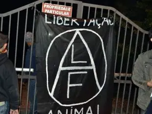 (Foto: Divulgação)