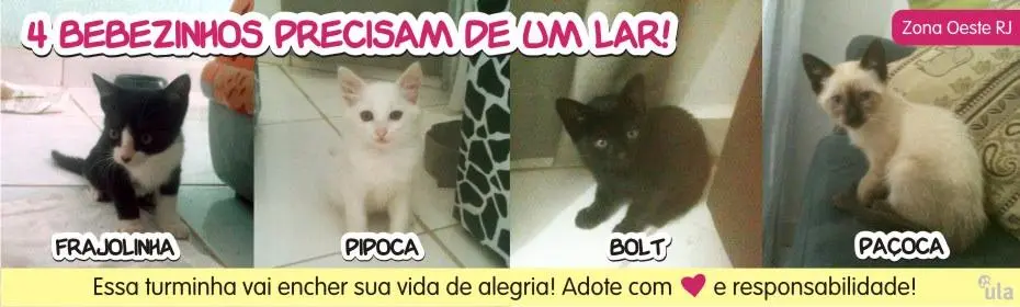 adote-gatinhos