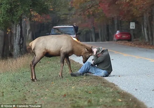 Foto: Daily Mail