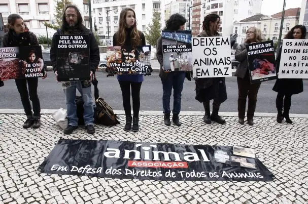 (Foto: Divulgação)