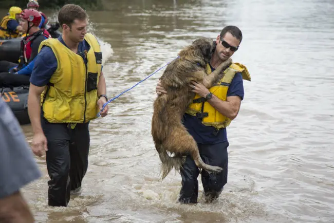 (Foto: Divulgação/Austin Fire Department)