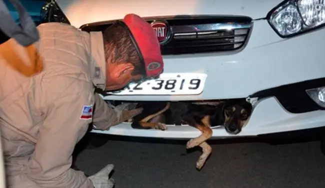 (Foto: Divulgação)