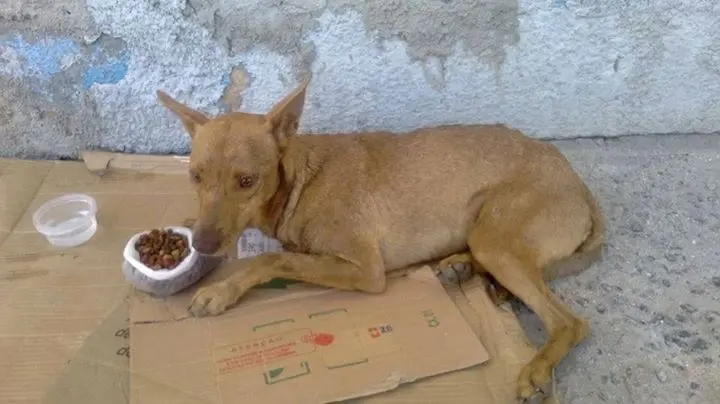(Foto: Reprodução Facebook)