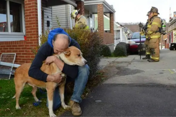 George abraça Pedro após salvar sua vida. (Foto: Reprodução / Life With Dogs )
