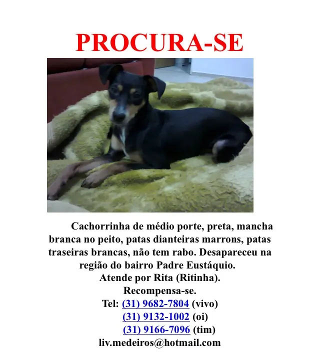 (Foto: Divulgação)