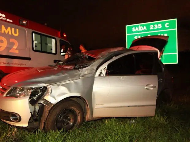 Carro atropelou cavalo na SP-310, em São Carlos (SP). (Foto: Maurício Duch)