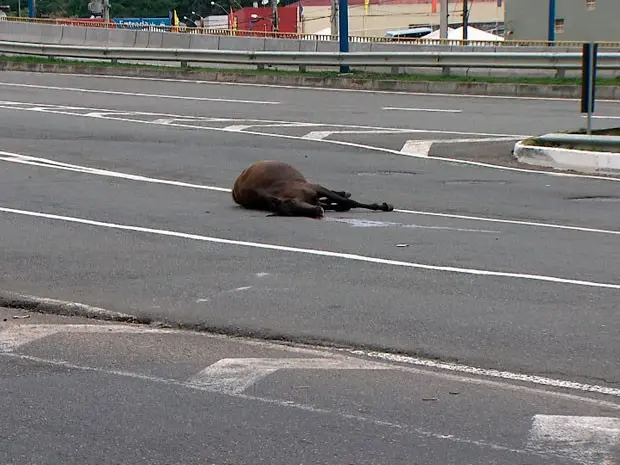 (Foto: Imagens/TV Bahia)