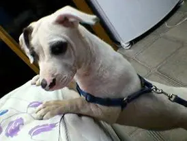 (Foto: Divulgação)