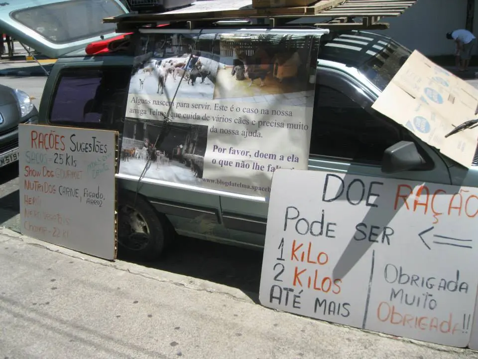 Carro também foi doação feita para ajudar os animais da protetora.