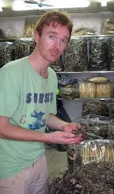 Doyle com uma pilha de cavalos-marinhos mortos em um mercado chines. 