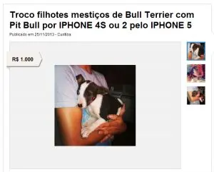 Filhotes em troca de iPhone. (Foto: Divulgação)