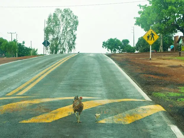 (Foto: Divulgação)