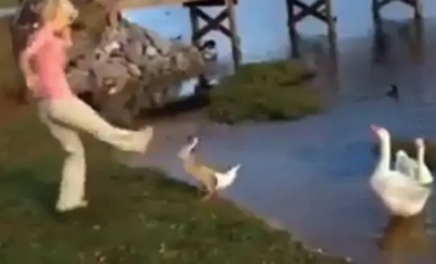 Alyssa L. Pack foi detida após um vídeo postado on-line que mostra ela chutando uma das aves  (Foto: Reprodução/Wear)