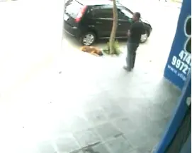 (Foto: Divulgação)