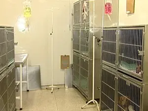 HVU conta atualmente com 30 leitos para internação (Foto: Reprodução / TV Integração)