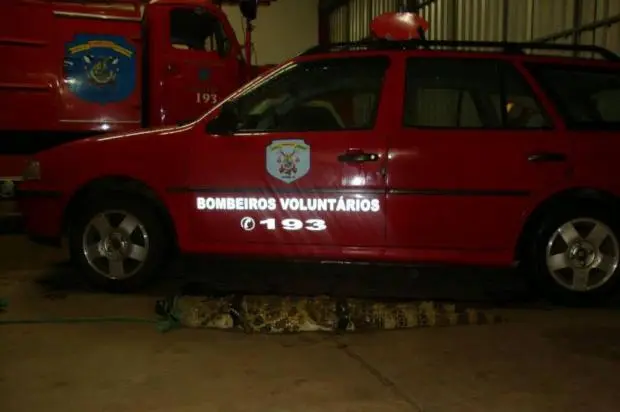 (Foto: Corpo de Bombeiros / Divulgação)