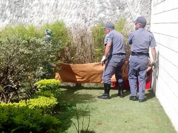 Apesar da presença do Corpo de Bombeiros, o animal correu para a mata e fugiu. (Foto: Divulgação)