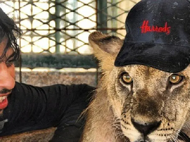 Mostrar animais na rede é o novo símbolo de status dos bilionários dos Emirados Árabes Unidos. (Foto: Reprodução)