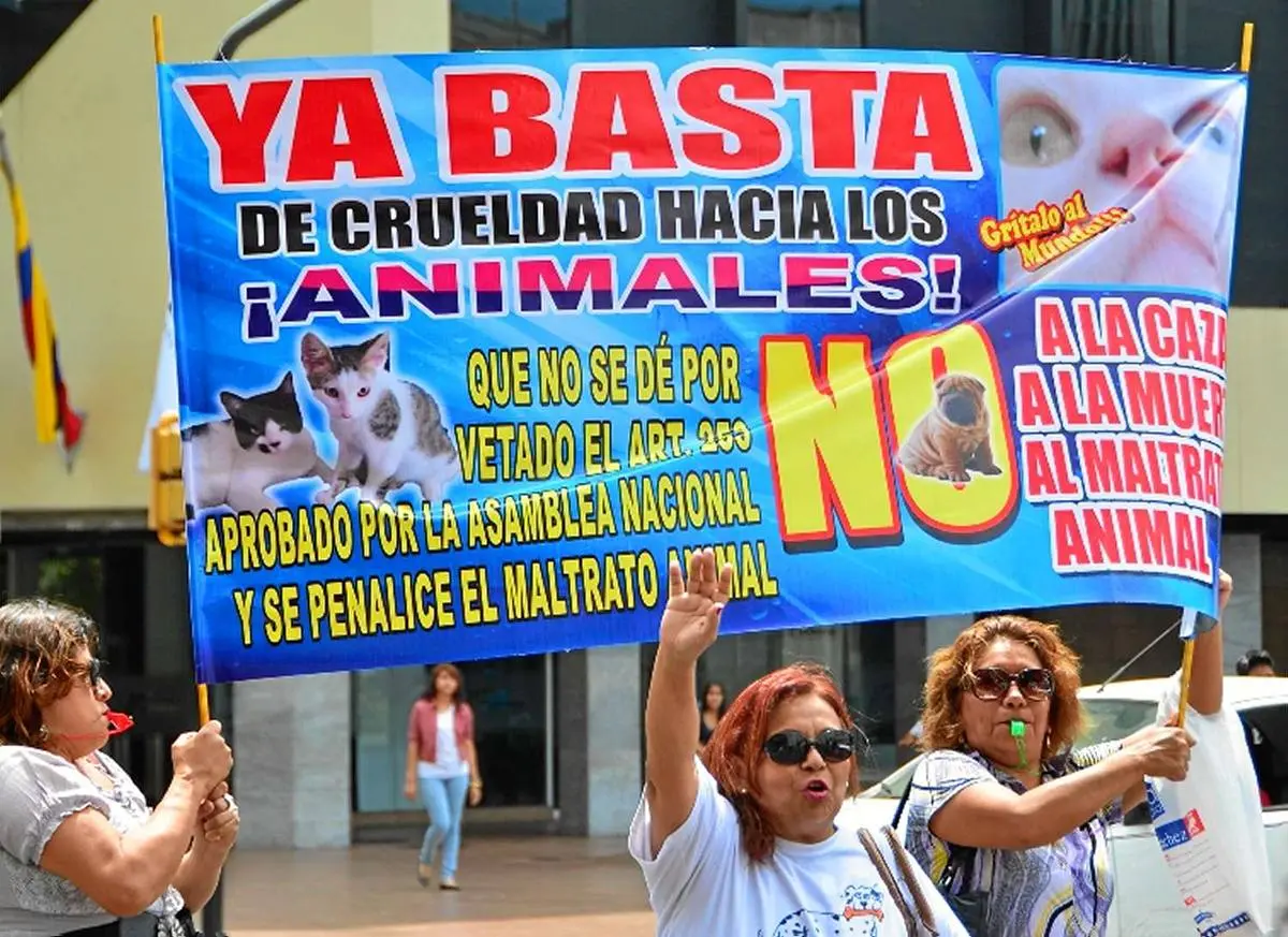 Foto: Martín Herrera