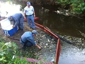 (Foto: Reprodução/TV Tem)