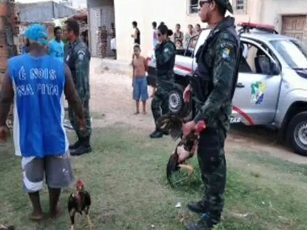 Um animal foi encontrado morto e dois, feridos. (Foto: Divulgação)