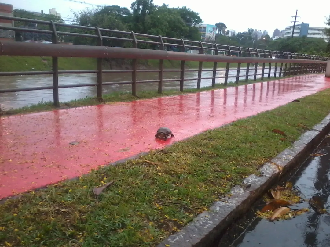 (Foto: Divulgação)