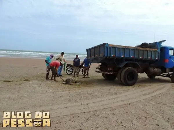 (Foto: Divulgação)