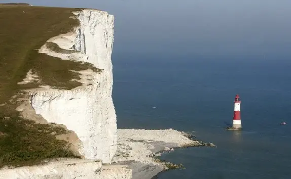 Animal despencou do topo do Beachy Head e sobreviveu sem ferimentos (Foto: Brighton Argus/Solent News) 
