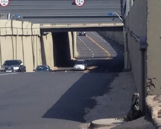 Iguana chamou atenção dos motoristas em Viaduto na Zona Sul de Teresina (Foto: Gil Oliveira/ G1)