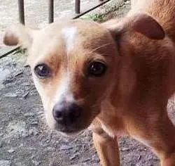 (Foto: Divulgação)