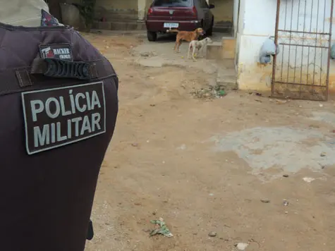 Dois cachorros estavam bastante debilitados e desnutridos, além de estarem infestados de pulgas e carrapatos. (Foto: Lay Amorim/ Divulgação)