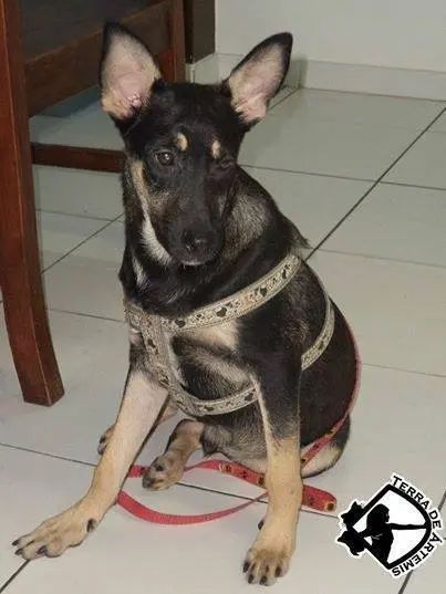 (Foto: Divulgação)
