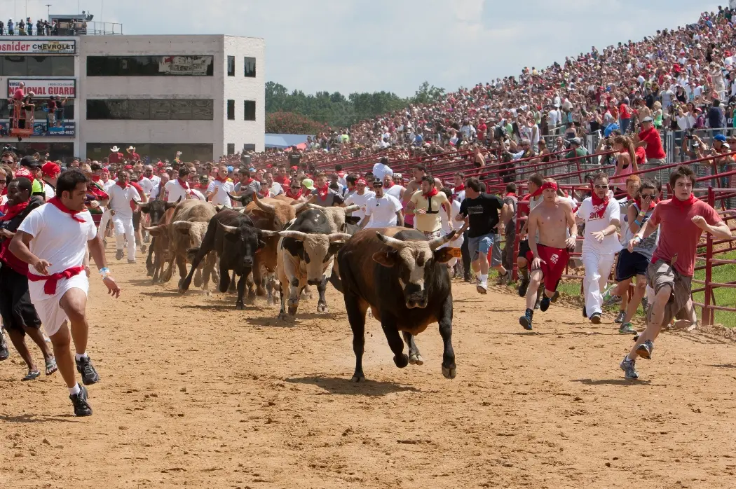 Foto: Great Bull Run