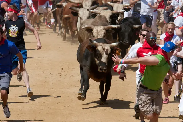 Foto: Great Bull Run