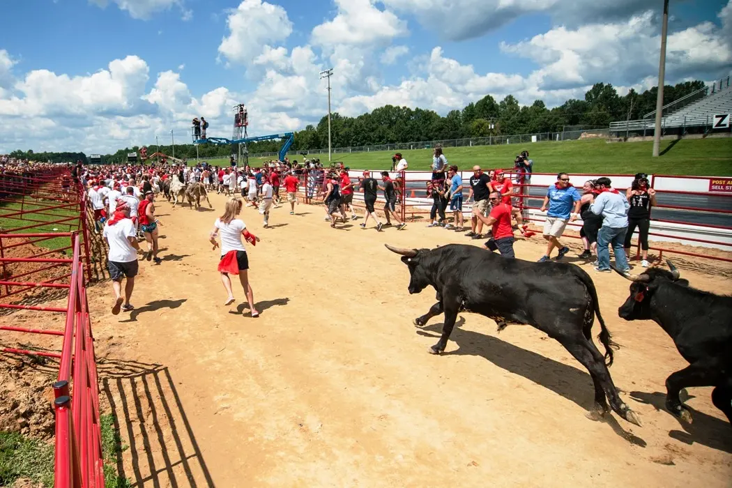 Foto: Great Bull Run