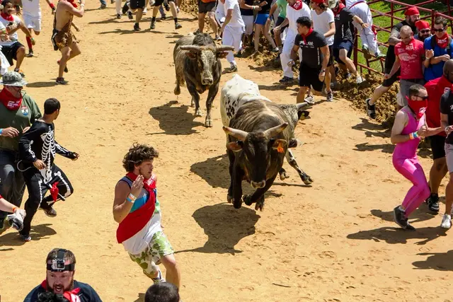 Foto: Great Bull Run