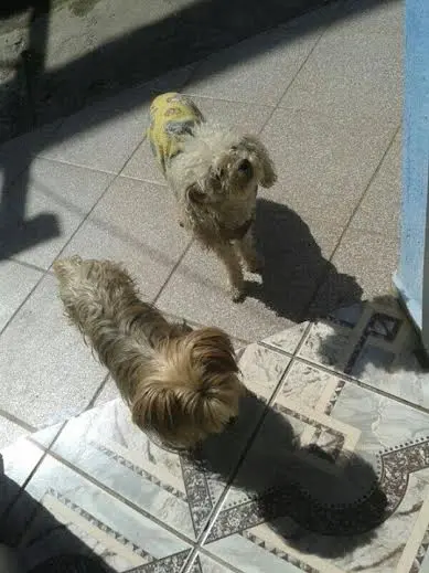 Lalinha e Thuthu (Foto: Divulgação)