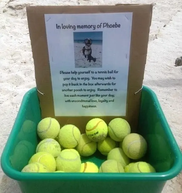 Homenagem à Phoebe. (Foto: Divulgação)