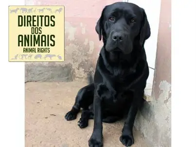 Talula (Foto: Divulgação)