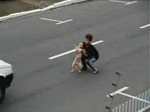 Criança se arriscou no meio da rodovia para resgatar o animal de estimação da família (Foto: Reprodução /RBS TV)