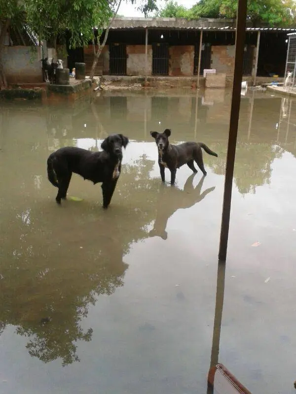 Abrigo foi afetado pela chuva forte. (Foto: Divulgação)