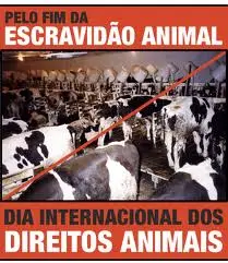 Imagem: Reprodução/Bio-Ideias